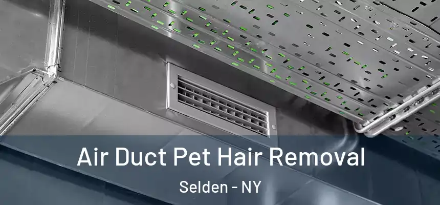 Air Duct Pet Hair Removal Selden - NY