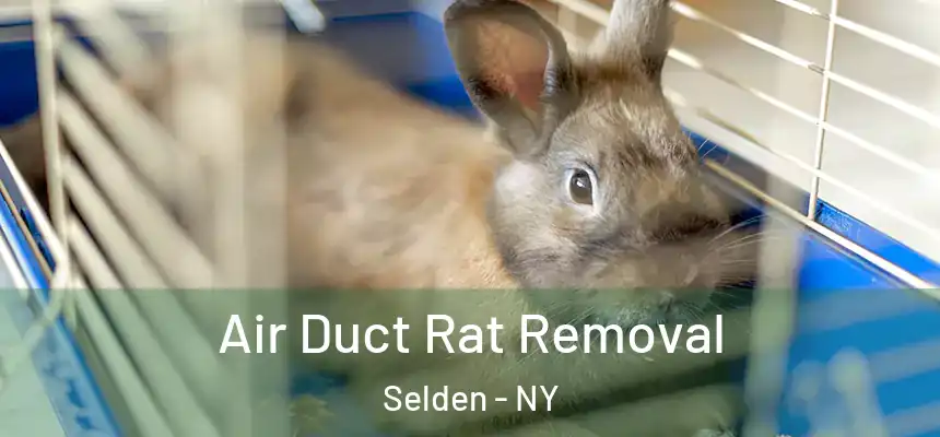 Air Duct Rat Removal Selden - NY