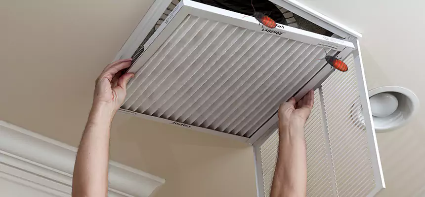 Our Insect Removal from Air Ducts Services in Selden, NY