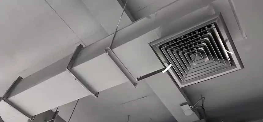 Our Pest Removal From Ducts Services in Selden, NY