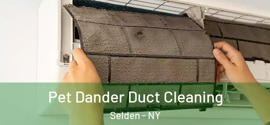 Pet Dander Duct Cleaning Selden - NY