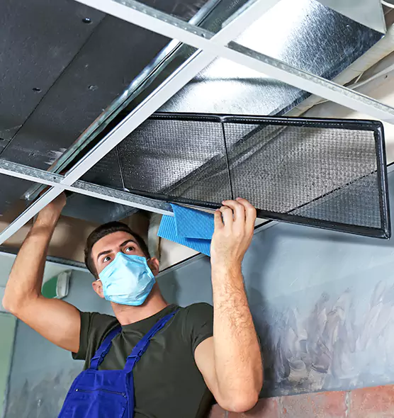 About Air Duct Bacteria Removal in Selden