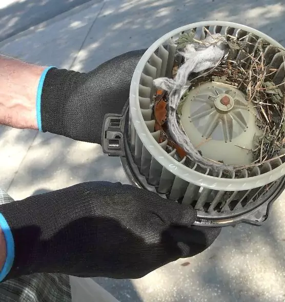 About Air Duct Mice Removal in Selden, NY