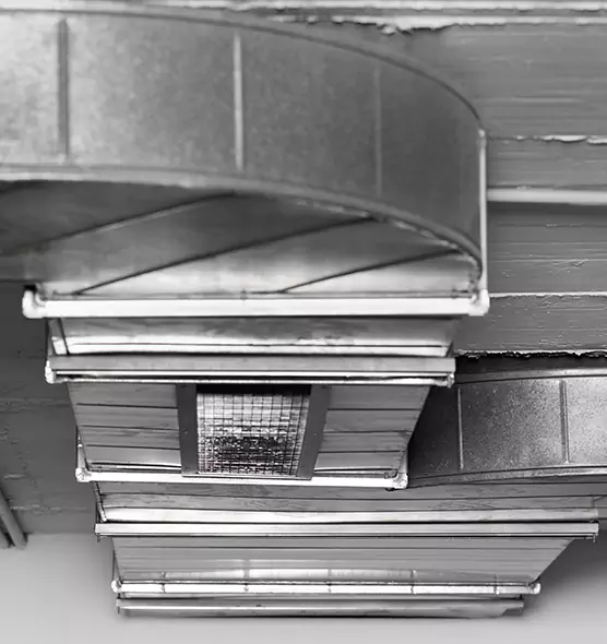 Professional Air Duct Pest Removal in Selden, NY