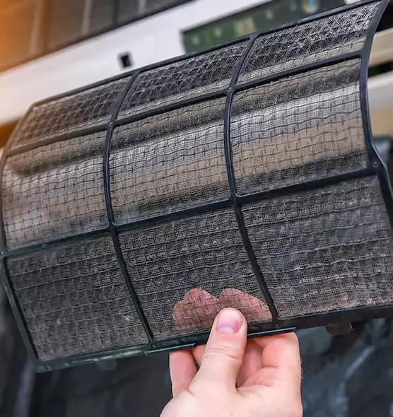 About Pet Dander Duct Cleaning in Selden, NY